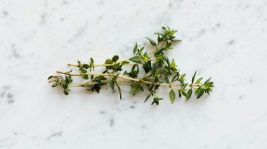garnishing-instructions-image